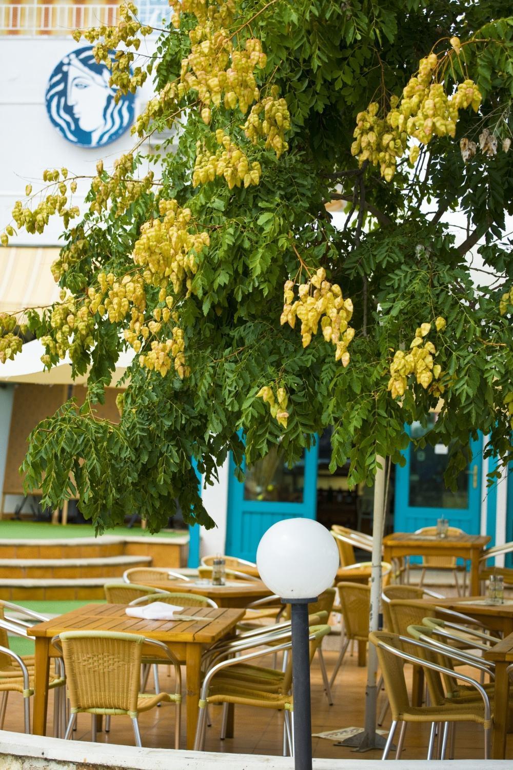 Kaliopa Hotel Albena Dış mekan fotoğraf